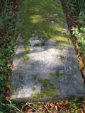image of grave number 559645